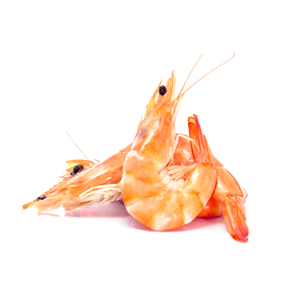 Gamba gekookt
